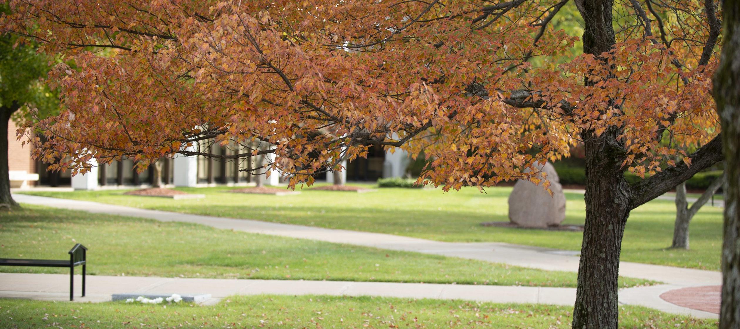 Campus Scenic - Fall 2015-64 Courtyard